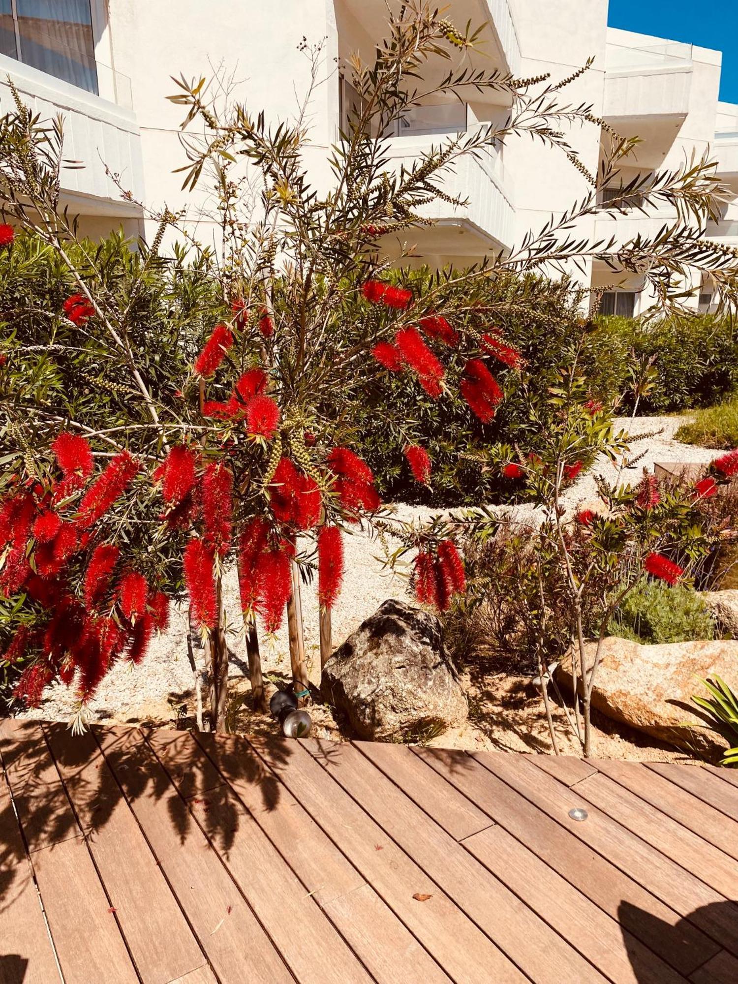 Calvi Hotel Eksteriør billede